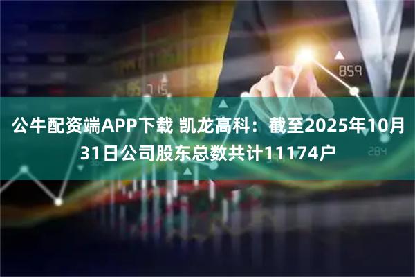公牛配资端APP下载 凯龙高科：截至2025年10月31日公司股东总数共计11174户