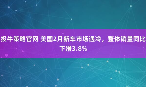 投牛策略官网 美国2月新车市场遇冷，整体销量同比下滑3.8%